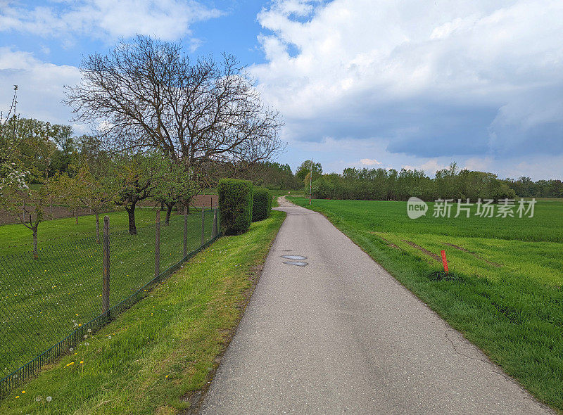 高架步道通过Taubergießen Bootsfahrten或自然保护区附近的铁器德国或莱茵河河岸沿法国边境